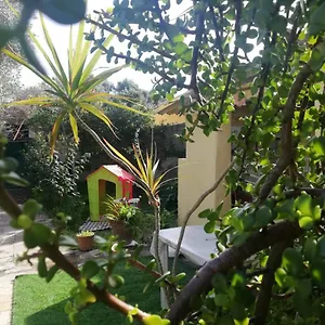  Сasa de vacaciones Sa Domu Antiga